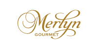 logo Merlyn